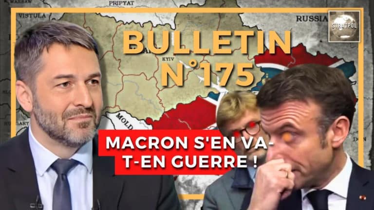 Bulletin numéro 175 de Stratpol