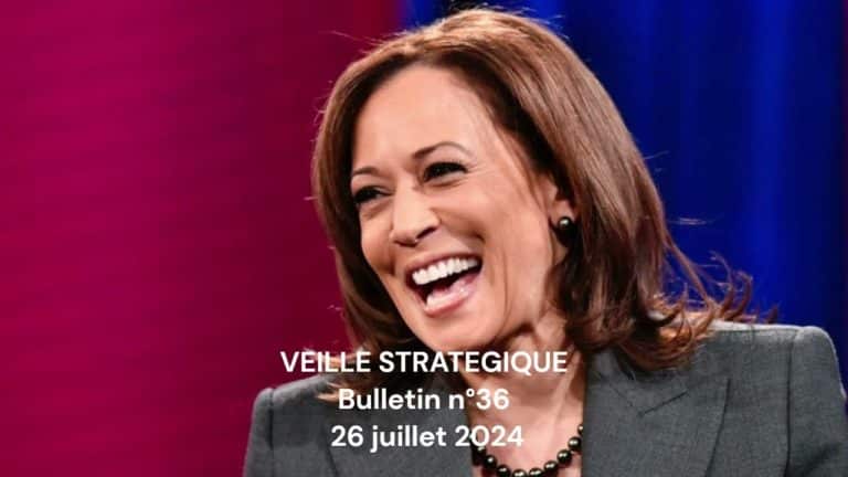 Veille Stratégique Web TV : bulletin n° 36 de Sylvain Ferreira