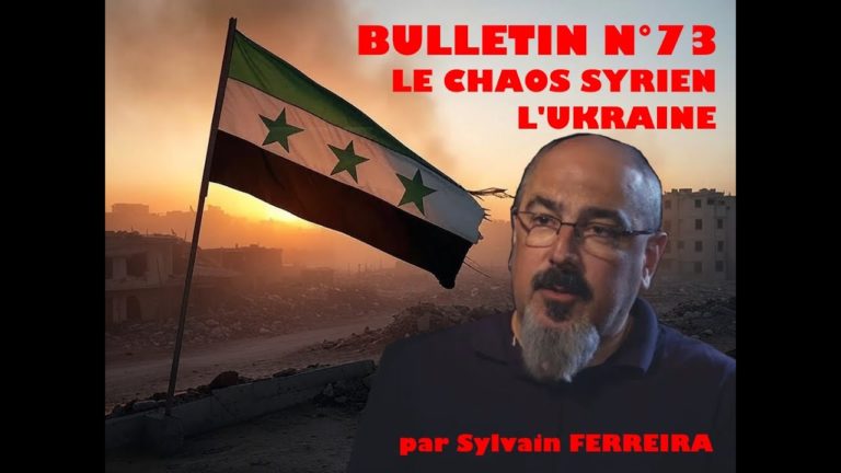 Veille Stratégique Web TV : bulletin n° 73 de Sylvain Ferreira