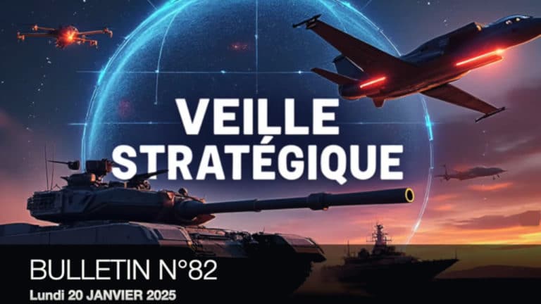Veille Stratégique Web TV : bulletin n° 82 de Sylvain Ferreira
