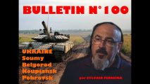 Bulletin n° 100 de Veille stratégique sur les manifestations en Turquie