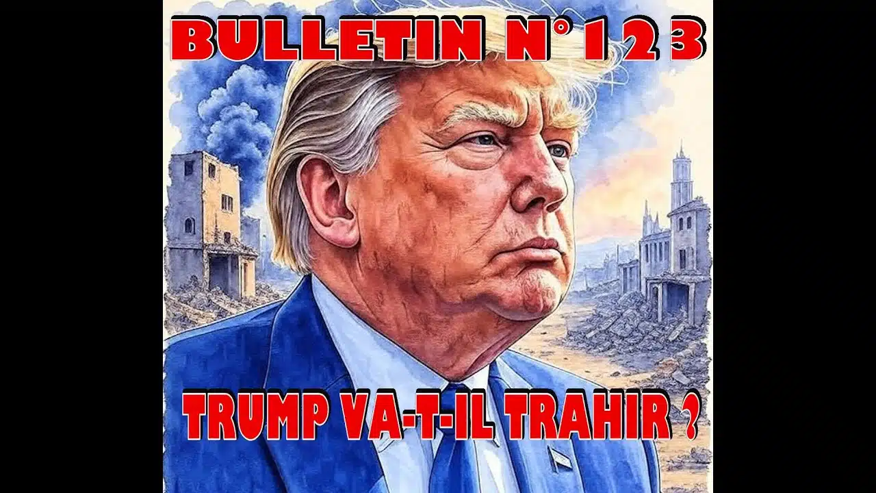 Veille Stratégique Web TV : bulletin n° 123 de Sylvain Ferreira