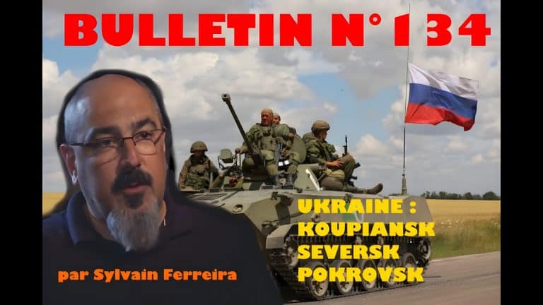 Veille Stratégique Web TV : bulletin n° 134 de Sylvain Ferreira