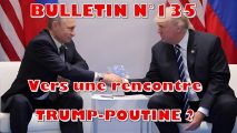 Bulletin n° 135 de Veille stratégique : vers une rencontre Trump-Poutine ?