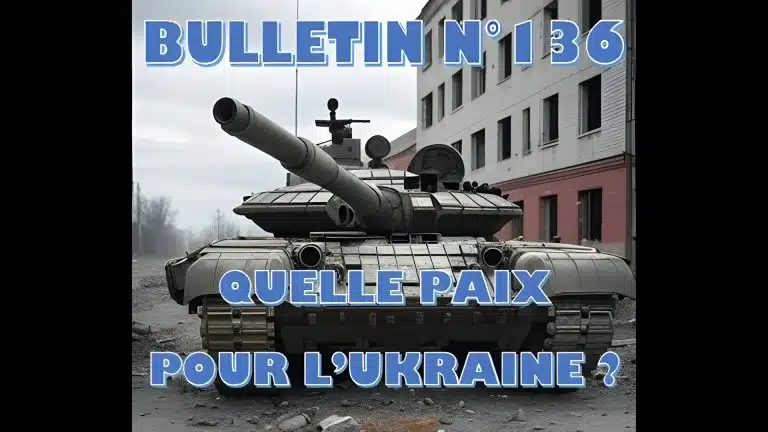 Veille Stratégique Web TV : bulletin n° 136 de Sylvain Ferreira