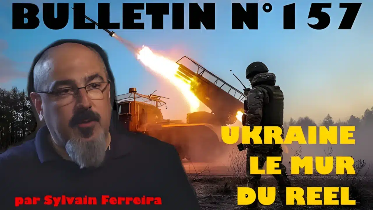 Veille Stratégique Web TV : bulletin n° 157 de Sylvain Ferreira