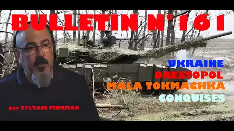 Veille Stratégique Web TV : bulletin n° 161 de Sylvain Ferreira