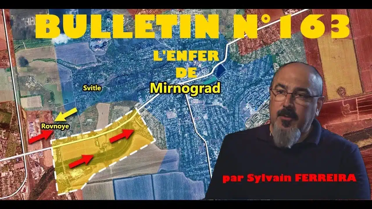 Veille Stratégique Web TV : bulletin n° 163 de Sylvain Ferreira