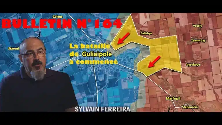 Veille Stratégique Web TV : bulletin n° 164 de Sylvain Ferreira