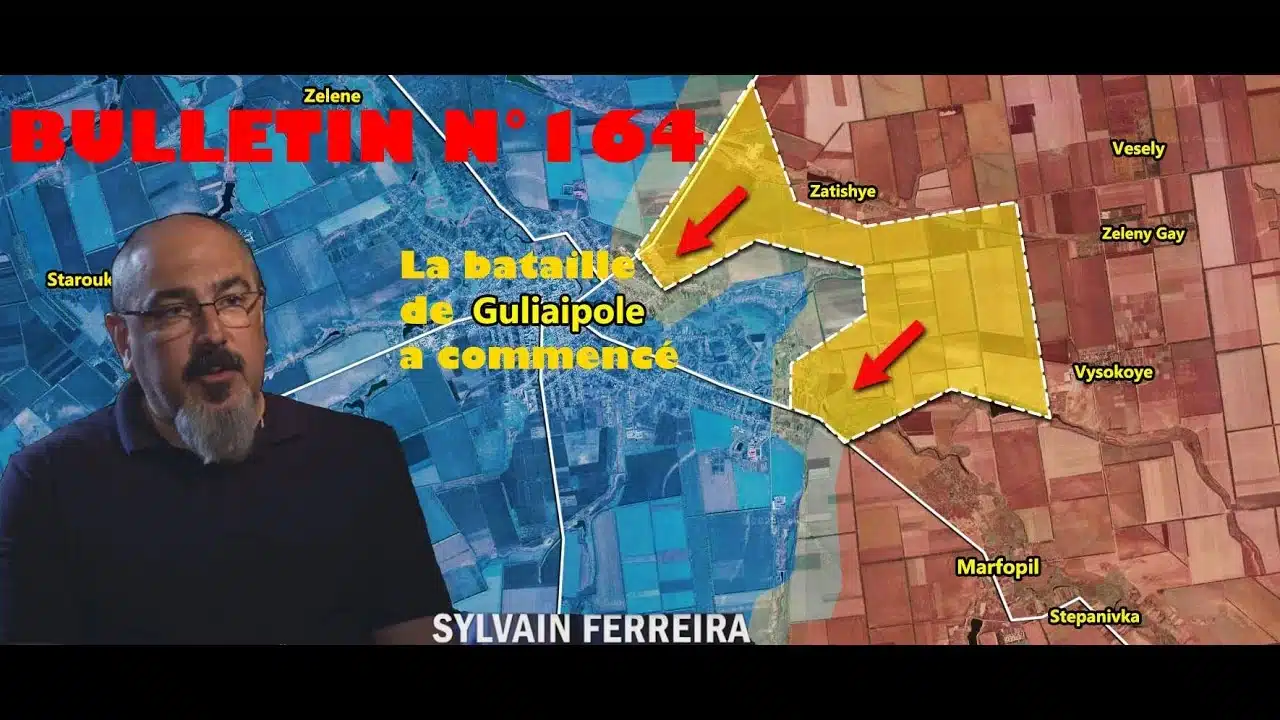 Veille Stratégique Web TV : bulletin n° 164 de Sylvain Ferreira