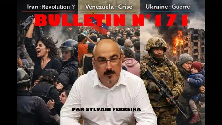 Veille Stratégique Web TV : bulletin n° 171 de Sylvain Ferreira