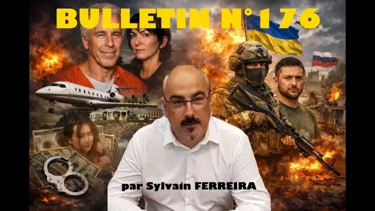 Veille Stratégique Web TV : bulletin n° 176 de Sylvain Ferreira