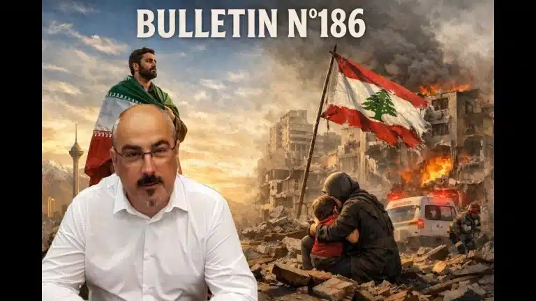 Veille Stratégique Web TV : bulletin n° 186 de Sylvain Ferreira