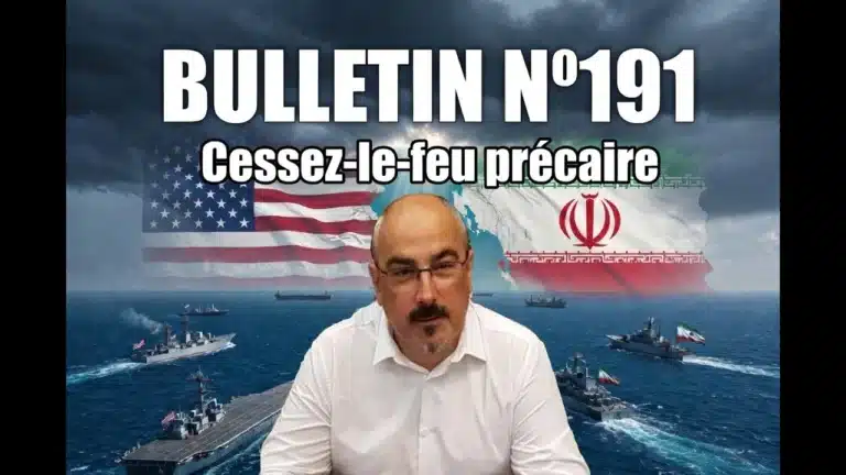 Veille Stratégique Web TV : bulletin n° 191 de Sylvain Ferreira